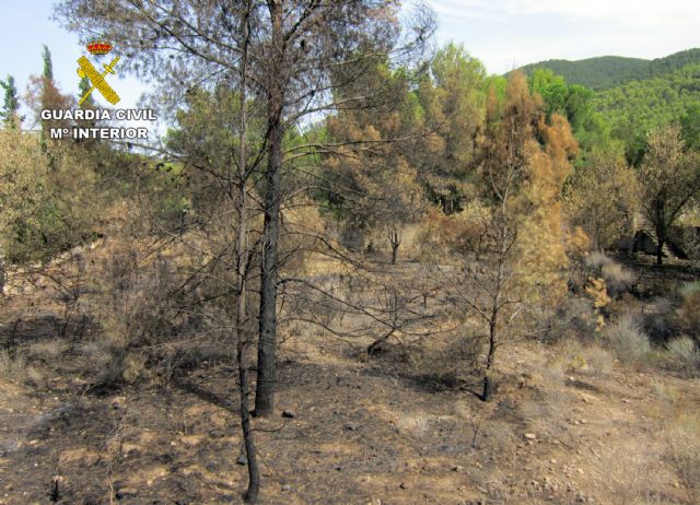 La Guardia Civil investiga a un operario por delito de incendio forestal por imprudencia - 1, Foto 1