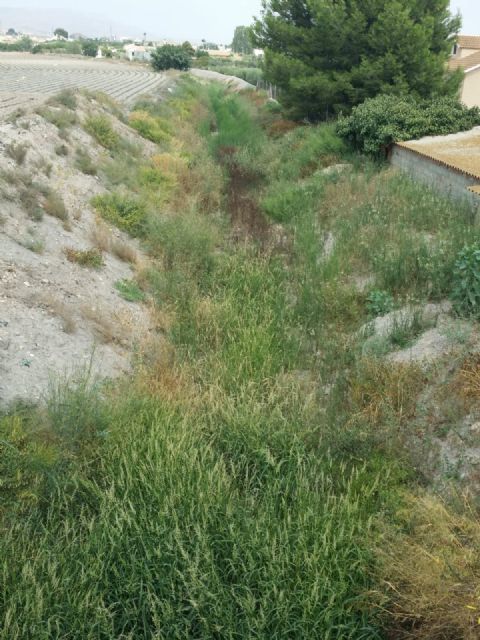 IU-V vuelve a denunciar la falta de mantenimiento del polígono de Los Peñones y su entorno - 1, Foto 1