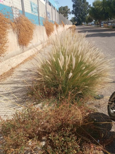 IU-V vuelve a denunciar la falta de mantenimiento del polígono de Los Peñones y su entorno - 2, Foto 2