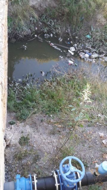 IU-V vuelve a denunciar la falta de mantenimiento del polígono de Los Peñones y su entorno - 3, Foto 3