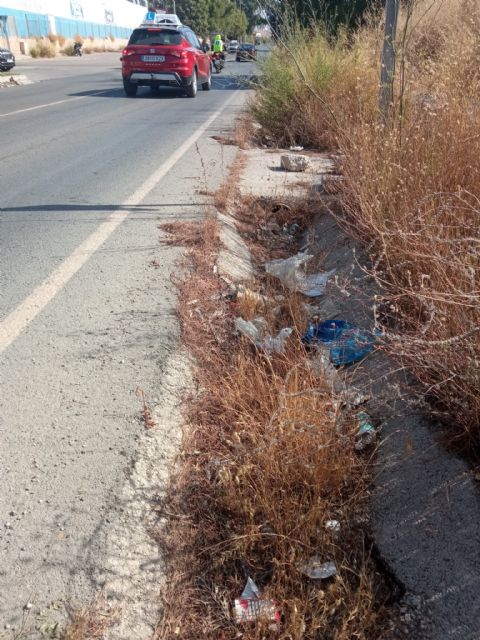 IU-V vuelve a denunciar la falta de mantenimiento del polígono de Los Peñones y su entorno - 4, Foto 4