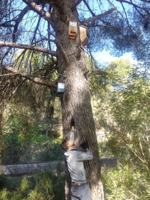 Asunto: Los refugios para fauna instalados con el proyecto Fluviatilis alcanzan una ocupación próxima al 40% - 5, Foto 5