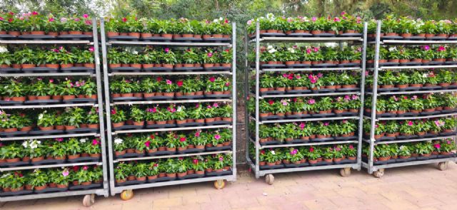 Murcia pone a punto sus zonas verdes y espacios públicos para la Feria de Septiembre - 2, Foto 2