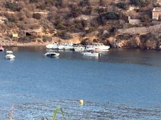Vecinos y Ecologistas exigen vigilancia y control en La Isla de Mazarrón - 2, Foto 2