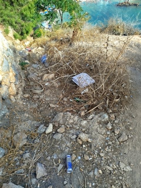 El Partido Cantonal denuncia suciedad y desidia en los parterres y zonas verdes de Cala Cortina - 2, Foto 2