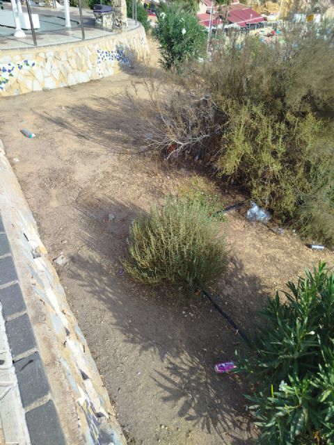 El Partido Cantonal denuncia suciedad y desidia en los parterres y zonas verdes de Cala Cortina - 3, Foto 3