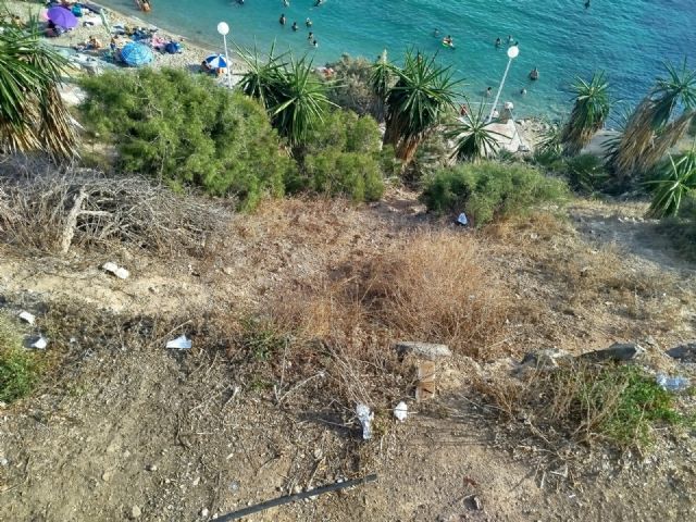 El Partido Cantonal denuncia suciedad y desidia en los parterres y zonas verdes de Cala Cortina - 4, Foto 4