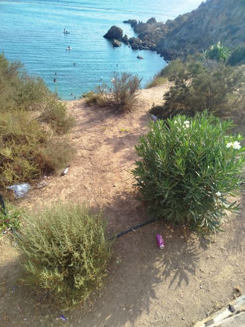 El Partido Cantonal denuncia suciedad y desidia en los parterres y zonas verdes de Cala Cortina - 5, Foto 5