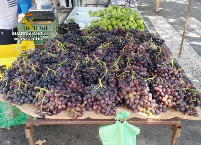 La Guardia Civil detiene a los cinco integrantes de una banda dedicada a la sustracción de uva de mesa - 1, Foto 1