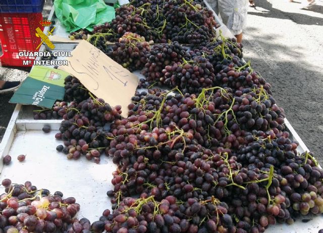 La Guardia Civil detiene a los cinco integrantes de una banda dedicada a la sustracción de uva de mesa - 2, Foto 2