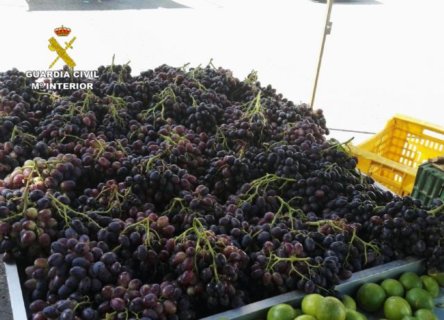 La Guardia Civil detiene a los cinco integrantes de una banda dedicada a la sustracción de uva de mesa - 3, Foto 3