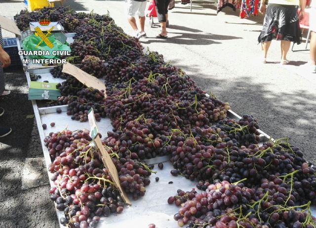 La Guardia Civil detiene a los cinco integrantes de una banda dedicada a la sustracción de uva de mesa - 4, Foto 4