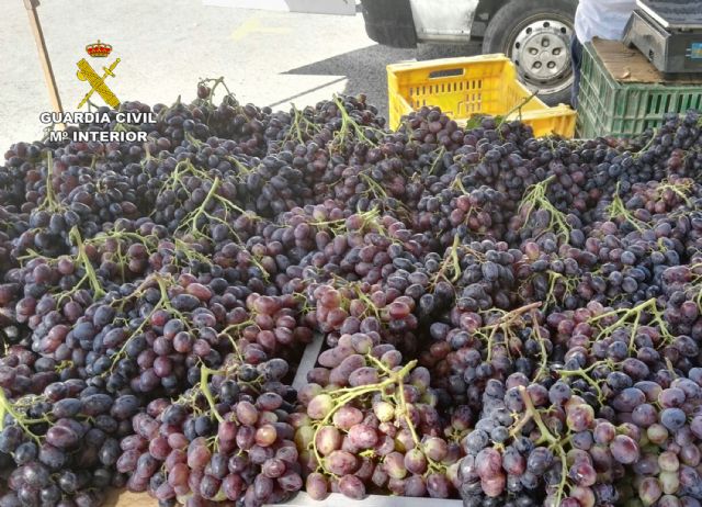 La Guardia Civil detiene a los cinco integrantes de una banda dedicada a la sustracción de uva de mesa - 5, Foto 5
