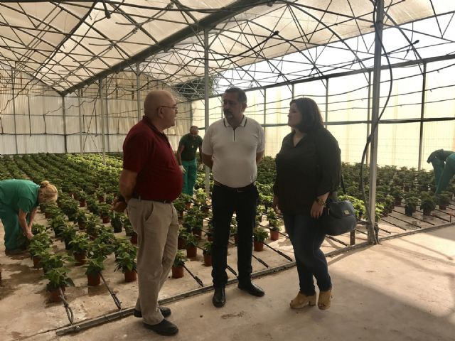 20 peones agrícolas y 4 capataces realizan tareas de adecuación en los viveros y parques municipales dentro de la segunda fase del programa de Fomento de Empleo Agrario - 1, Foto 1