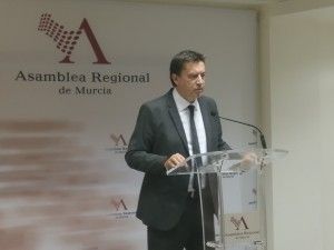 Ciudadanos solicita ayudas para los afectados por la enfermedad inflamatoria intestinal - 1, Foto 1