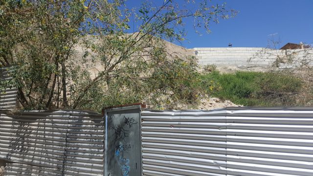 Antonio Meca agradece al Equipo de Gobierno que atienda su exigencia sobre la limpieza de los solares abandonados en el casco urbano - 2, Foto 2