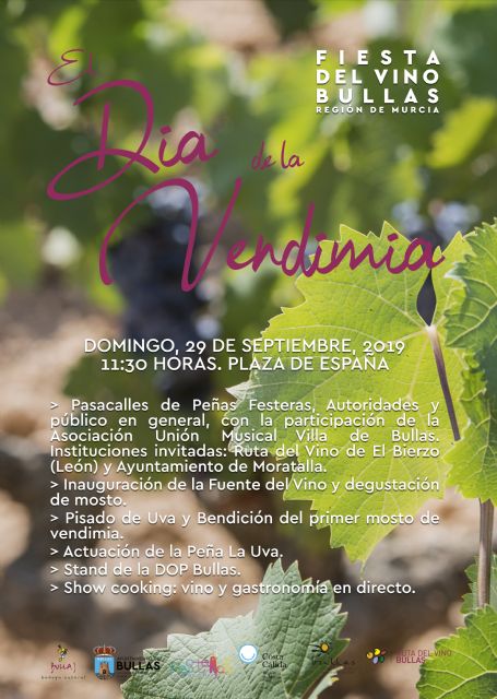 El programa de Fiestas del Vino sigue su curso - 1, Foto 1