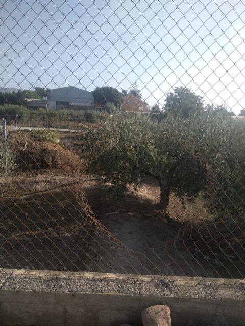 El Partido Popular reclama una atención especial para las pedanías en materia de seguridad tras los robos con fuerza perpetrados y daños materiales en Tiata - 1, Foto 1