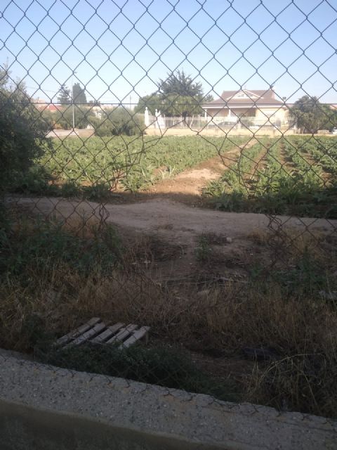 El Partido Popular reclama una atención especial para las pedanías en materia de seguridad tras los robos con fuerza perpetrados y daños materiales en Tiata - 4, Foto 4