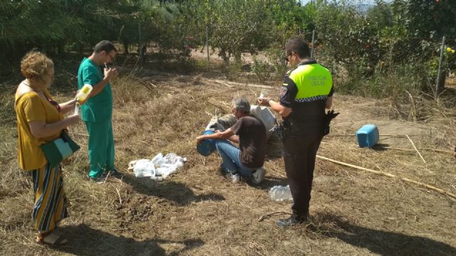 Rescatado un caballo en mal estado y trasladado a la Clínica Veterinaria de la Universidad de Murcia - 2, Foto 2