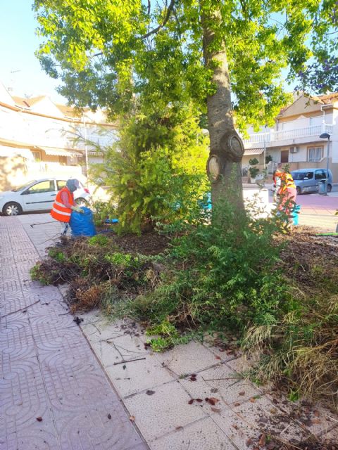 Treinta personas en desempleo participan en el programa de empleo del SEF para acondicionar y mantener espacios públicos - 2, Foto 2