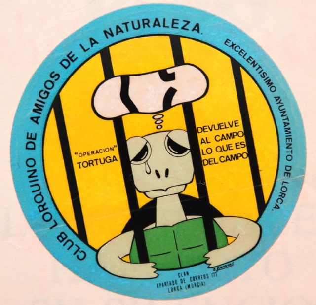 El pleno municipal debatirá sobre el falso título universitario de una concejala de VOX - 2, Foto 2