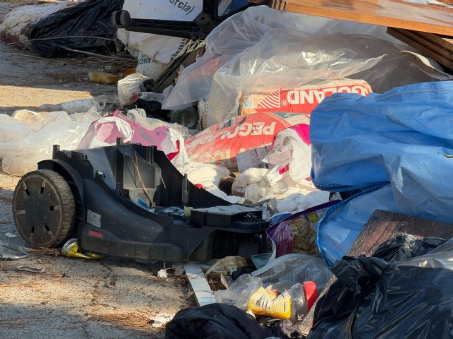 El PSOE plantea medidas para proteger los pinos centenarios de Churra y conservar su entorno - 2, Foto 2