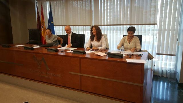 La Asamblea pide un estudio de la 'Tasa Rosa' a propuesta de Podemos - 1, Foto 1