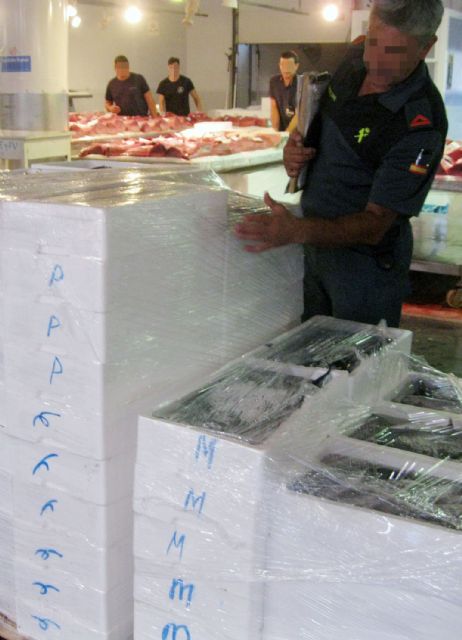 La Guardia Civil decomisa cerca de media tonelada de pescado sin etiquetar - 1, Foto 1