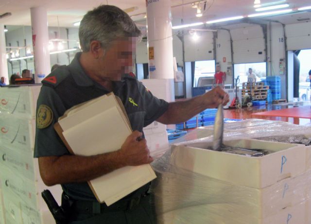 La Guardia Civil decomisa cerca de media tonelada de pescado sin etiquetar - 4, Foto 4