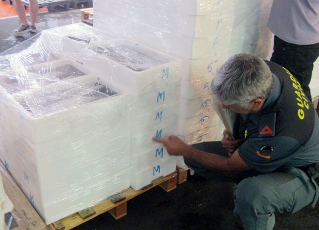 La Guardia Civil decomisa cerca de media tonelada de pescado sin etiquetar - 5, Foto 5