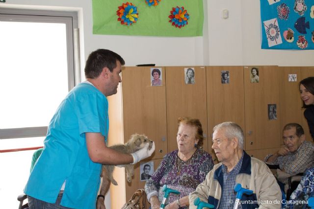 Perritos del CATAD visitan a los mayores del Centro de Día de Los Dolores - 3, Foto 3
