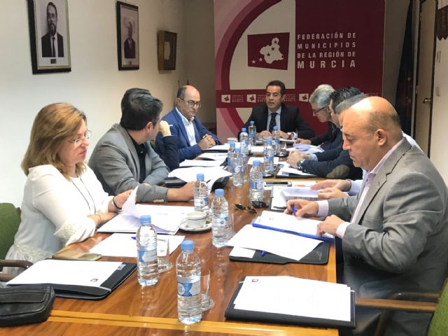 La FMRM reactiva la reclamación de una Ley de Financiación Local a través de la elaboración de un documento propio sobre competencias - 1, Foto 1