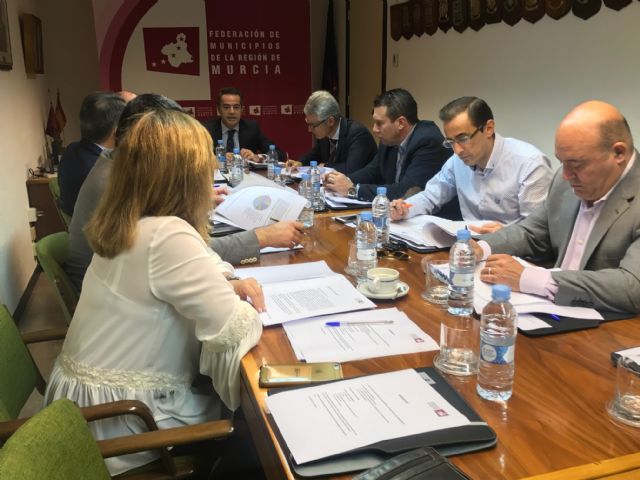 La FMRM reactiva la reclamación de una Ley de Financiación Local a través de la elaboración de un documento propio sobre competencias - 2, Foto 2