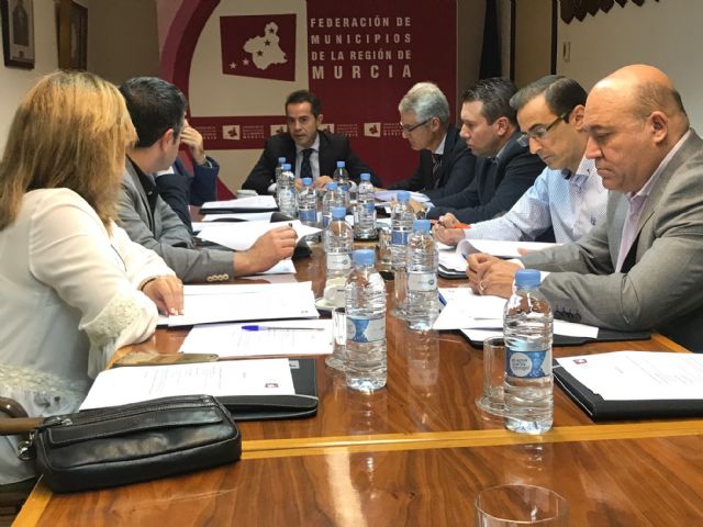 La FMRM reactiva la reclamación de una Ley de Financiación Local a través de la elaboración de un documento propio sobre competencias - 3, Foto 3