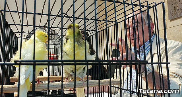 Totana acoge el 5º Campeonato Ornitológico Regional Murciano del 27 octubre al 5 de noviembre - 1, Foto 1