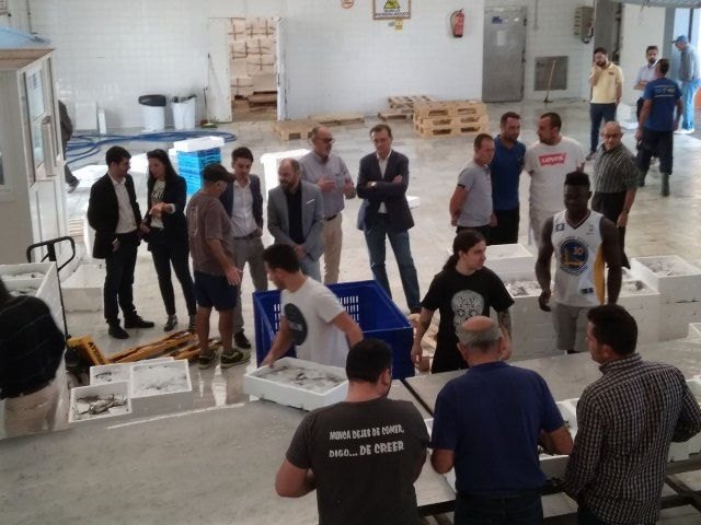 Ciudadanos propone en el Congreso y la Asamblea Regional una Indicación Geográfica Protegida para el langostino y la dorada del Mar Menor - 2, Foto 2