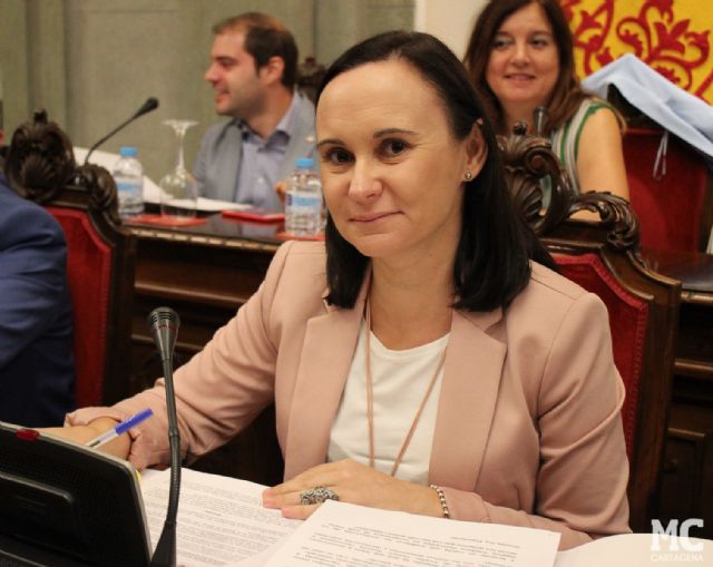 MC: Castejón reincide en la violación de los derechos fundamentales de los concejales - 1, Foto 1