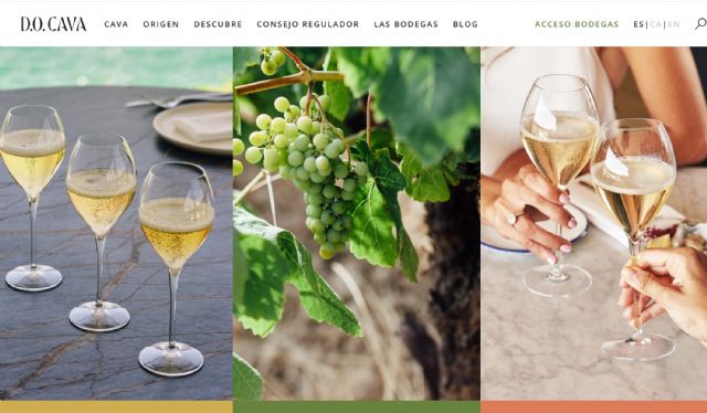 La D.O. Cava lanza nueva página web y eleva aún más las calidades del Cava - 1, Foto 1