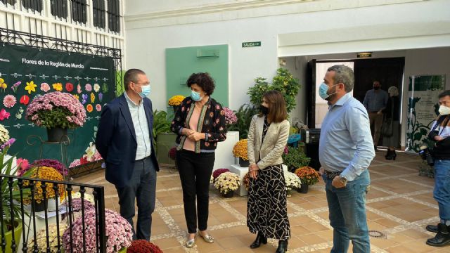 El Gobierno regional impulsa una campaña para fomentar el consumo de flor cortada y ornamental y reactivar el sector - 3, Foto 3
