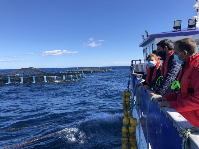 La Comunidad convocará ayudas para el sector acuícola antes de que concluya el año por importe de 1,6 millones - 1, Foto 1