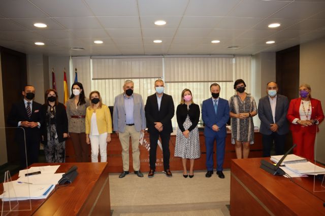 El grupo parlamentario liberal quiere dar a conocer mejor a la sociedad regional la proposición de Ley de Mecenazgo - 1, Foto 1