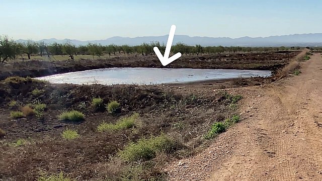 Podemos denuncia en un vídeo la existencia de balsas piratas de purines sin ningún control - 2, Foto 2