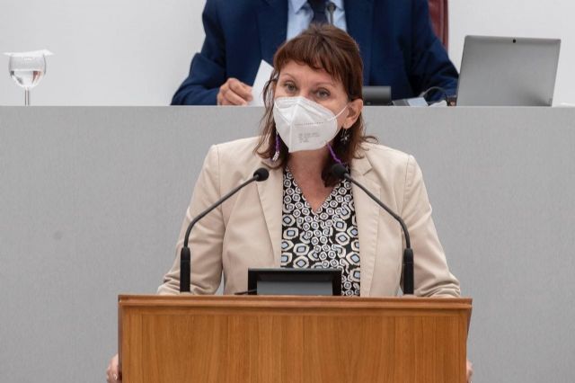 Podemos exige a la Consejería de Medio Ambiente que asuma su responsabilidad y descontamine de inmediato los terrenos de Zinsa - 1, Foto 1