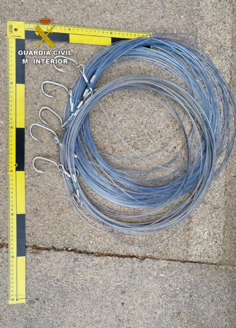 La Guardia Civil desmantela un grupo criminal dedicado a la sustracción de atún rojo en polígonos acuícolas de Cartagena y San Pedro del Pinatar - 2, Foto 2