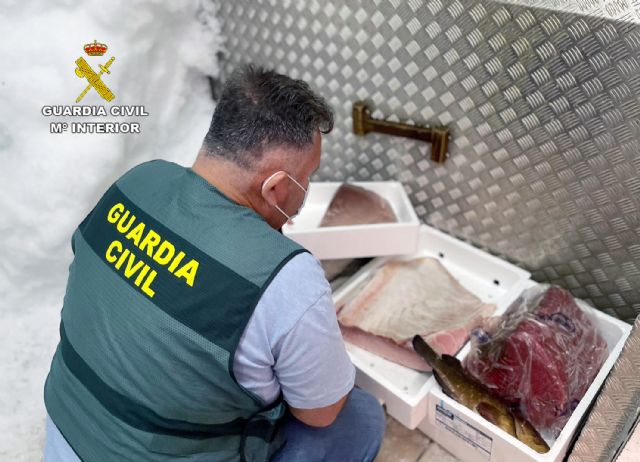 La Guardia Civil desmantela un grupo criminal dedicado a la sustracción de atún rojo en polígonos acuícolas de Cartagena y San Pedro del Pinatar - 3, Foto 3
