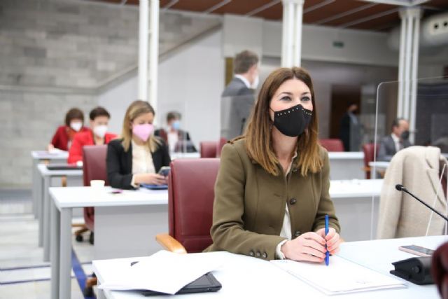 Mª. Carmen Ruiz Jódar: El Gobierno regional no ha parado de trabajar en beneficio de la salud mental - 1, Foto 1