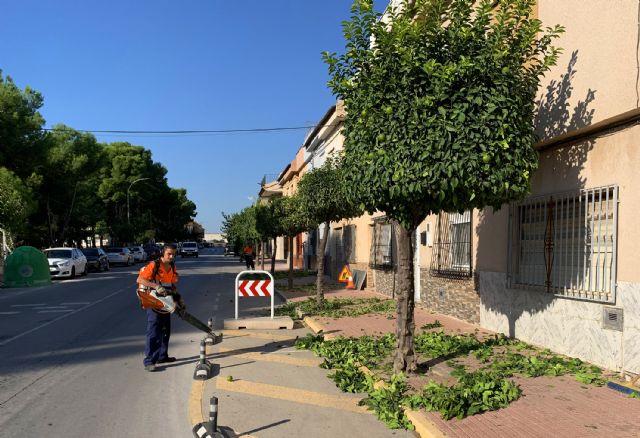 Llegan las tradicionales podas otoñales a los árboles de Las Torres de Cotillas - 3, Foto 3