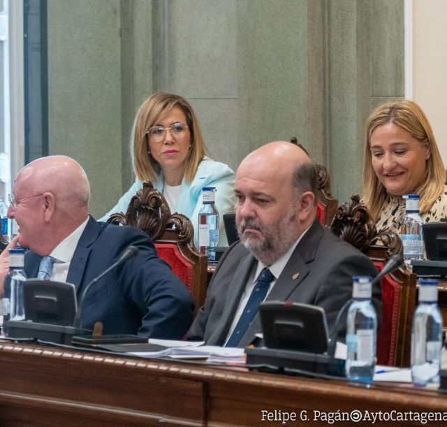 El pleno apoya a los trabajadores de SABIC y que ponga el Hospital Naval a disposición de Cartagena para construir una residencia pública para mayores - 2, Foto 2