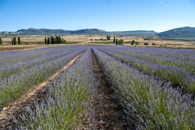Moratalla acogerá el II Congreso de Turismo Rural de la Región de Murcia el próximo 7 de noviembre Moratalla acogerá el II Congreso de Turismo Rural de la Región de Murcia el próximo 7 de noviembre